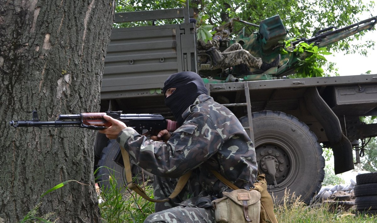 Venemeelne võitleja, Ukraina