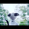 VIDEO | Anna käppa, robokutsu! Sony esitles täna robotkoera nimega Aibo