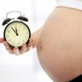 Kaksikute blogi: surmast, sünnist ja sellest, mis tunne on rasedana töötuks jääda