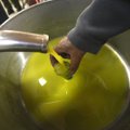 Nappiv oliiviõli on muutnud kalliks