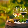 Kõige suuremad veiniskandaalid, mis on muutnud kogu veiniäri
