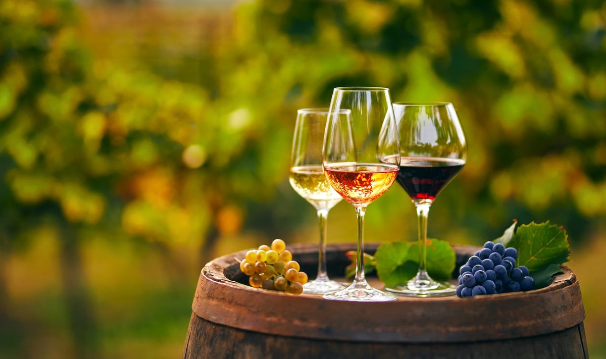 Austria ja Itaalia veinide, aga ka Prantsusmaa rosé’de ja isegi rariteetveinide autentsus on aeg-ajalt sattunud tõsise kahtluse alla.