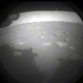 Marsilt elu märke otsiv NASA kulgur maandus edukalt ja lähetas Maale esimesed kaadrid