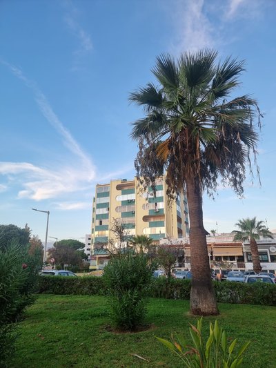 Kortermaja, kus Vilamouras, Algarve piirkonnas Portugalis 4 nädalat pesitsesime