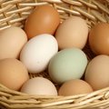 R-kiosk отказывается от использования яиц кур, содержащихся в клетках