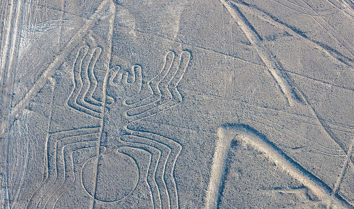 Nazca kõrbe üks kuulsamaid geoglüüfe – Ämblik (Foto: Wikimedia Commons / Diego Delso)