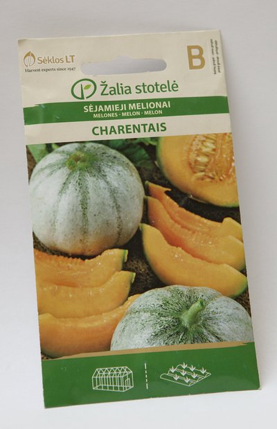 Melon `Charentais`