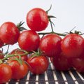 Tomatiga südamehaiguste vastu: kaitse veresooni ja enneta halva kolesterooli teket