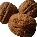 Kreeka pähklite söömine alandab vere kolesterooli taset