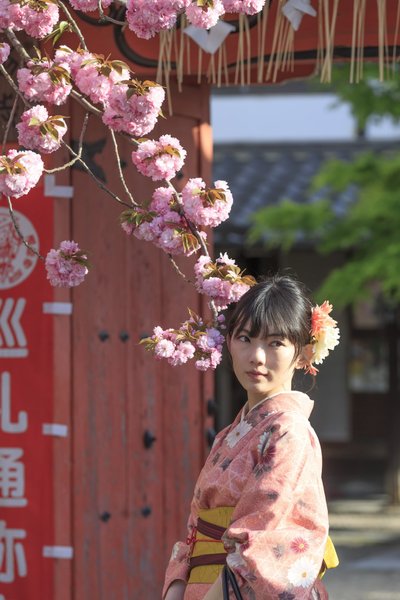 Japan, Kinki, Kansai, Kyoto, Woman wearing traditional kimono in Kyoto's old town