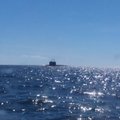 ФОТО и ВИДЕО | Эстонский хиропрактик увидел в Финском заливе подводную лодку