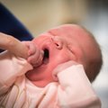 Tallinnas sündinud beebid saavad sünnitusmajadest kingituseks uue sisuga hoolduspakid
