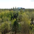 Puhkus Tšernobõlis — tõsine ajaloohuvi või juba peavoolu meelelahutus?