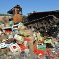 За год в России уничтожено более 7,5 тысяч тонн санкционных продуктов