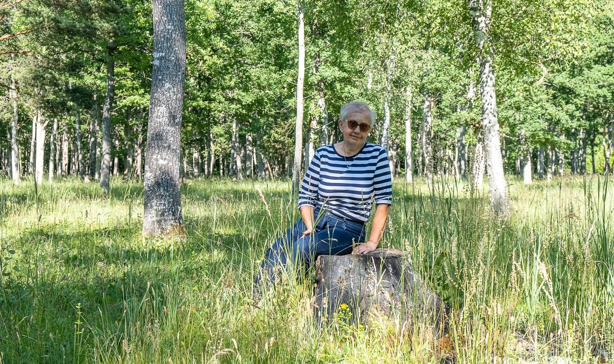 Astra Ait taastas Saaremaal kuue hektari suuruse puisniidu.