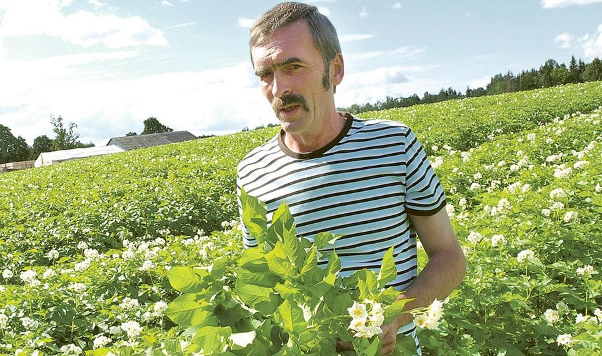 Eesti ühe tuntuima  kartuli­kasvataja Kalle  Hamburgi  teeneid on märgatud ka kodumaakonnas.