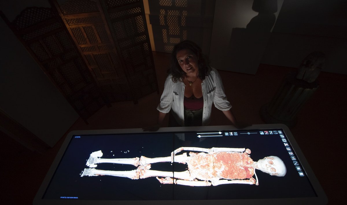 Bettany Hughes uurib Tutanhamoni röntgenülesvõtet.