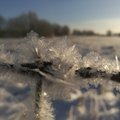 ILMATEADE | Ilm keerab vindi peale: pühapäev toob lumetormi