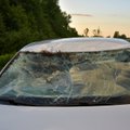 ФОТО | В Вильяндимаа автомобиль сбил лося. Животное погибло