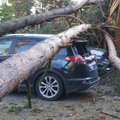 Puu kukkus tormiga autole. Kes vastutab?