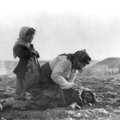 Tunnistaja Armeenia genotsiidist: Kaks miljonit inimest aeti kõrbesse surema