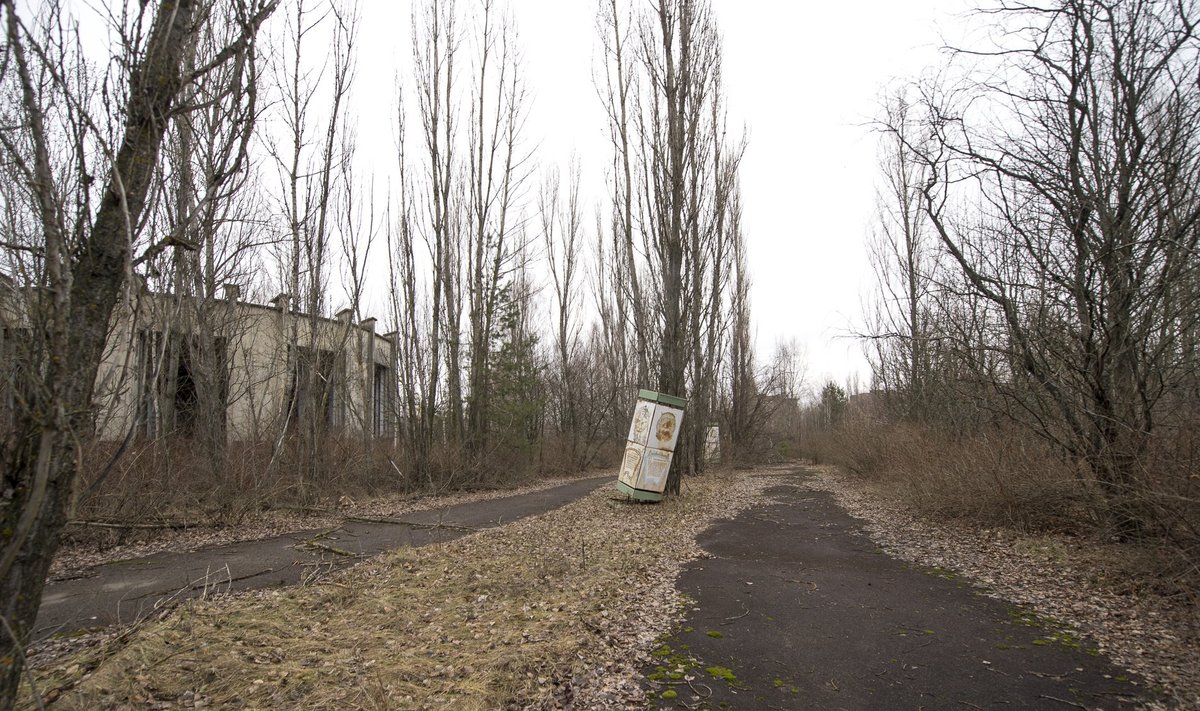 Tšernobõl 2016