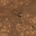 "Marsil kasvava seene" müsteerium sai vähemalt NASA-poolse lahenduse