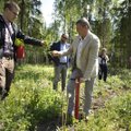 В рамках общественной программы Alexela по всей Эстонии приступили к посадке 20 000 деревьев