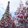 Франция объявила дату открытия страны для туристов