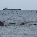 Looduskaitsjad: Läänemere riigid on mere olukorra parandamisel liiga passiivsed