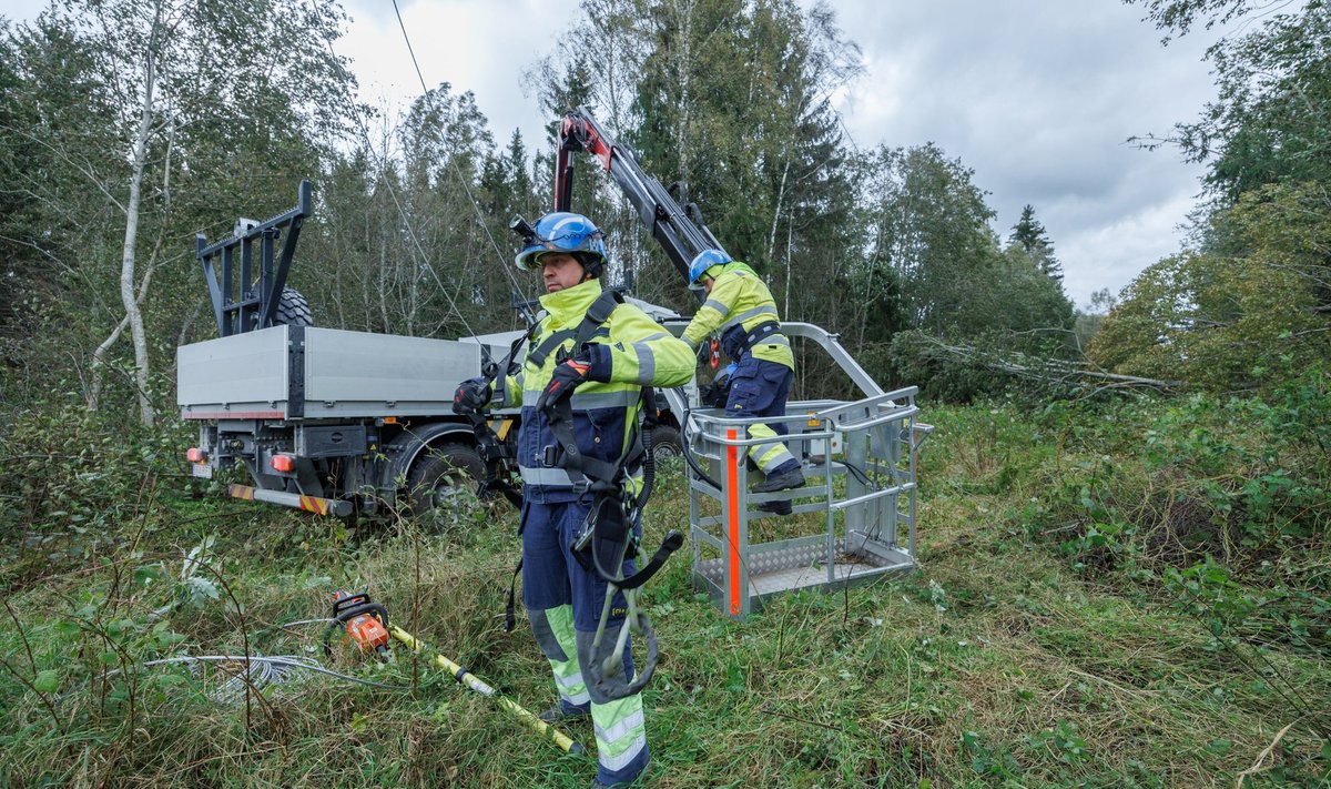 ФОТО | Ремонтники Elektrilevi борются с последствиями шторма. Когда свет  вернется во все дома? - Delfi RUS