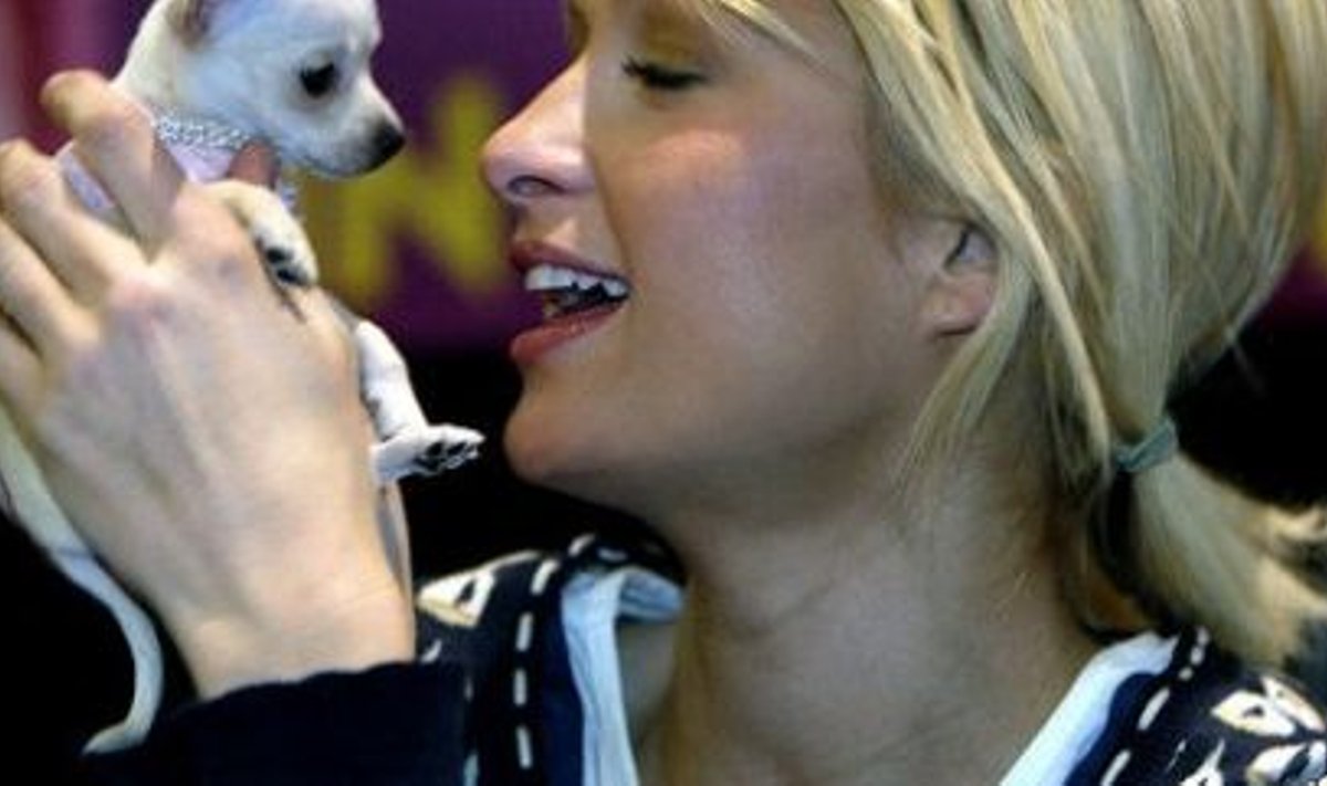 Paris Hilton ja koer