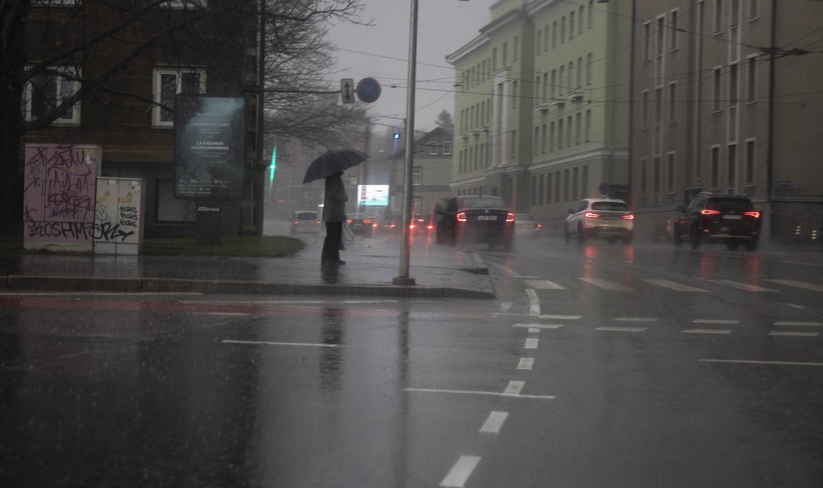 Pime Tallinn keskpäeval, novembri lõpp