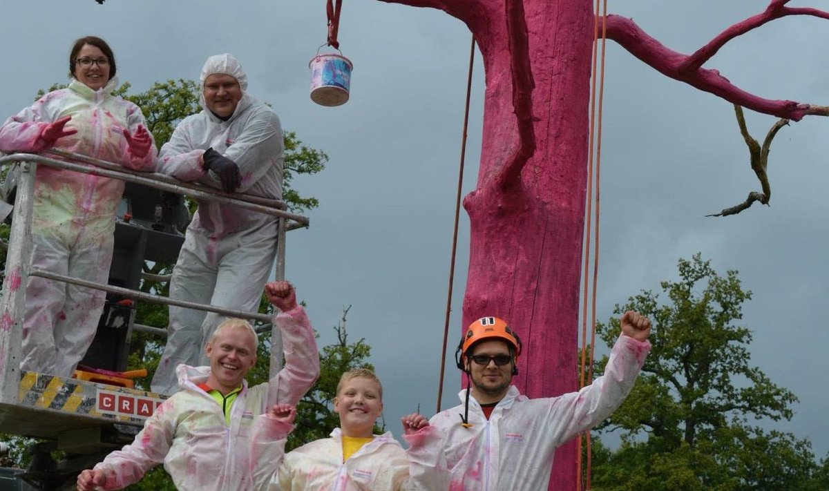 Puuvärvijad Maarja Põldoja, Virko Ardel, Heiki Hanso, Raigo Lorius ja Raivo Moon 2014. aasta sügisel roosaks võõbatud Ratla tamme esitlemas.