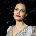Пластический хирург назвал главный „недостаток“ лица Анджелины Джоли