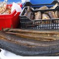 В сентябре в ЕС вступают в силу новые требования к копченым рыбе и мясу