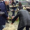 Gruusia lambaohverdusfestivali põhiprotseduur