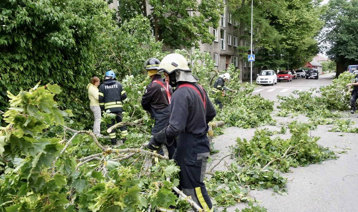 Tormikahjud Saaremaal, enamasti murdunud puud