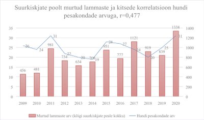 Suurkiskjate poolt murtud lammaste ja kitsede arv korrelatsioonis hundi pesakondade arvuga