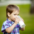 Kummutame piimamüüdid, et piimas on liiga palju kolesterooli ja et piim ei aita luude hõrenemist peatada