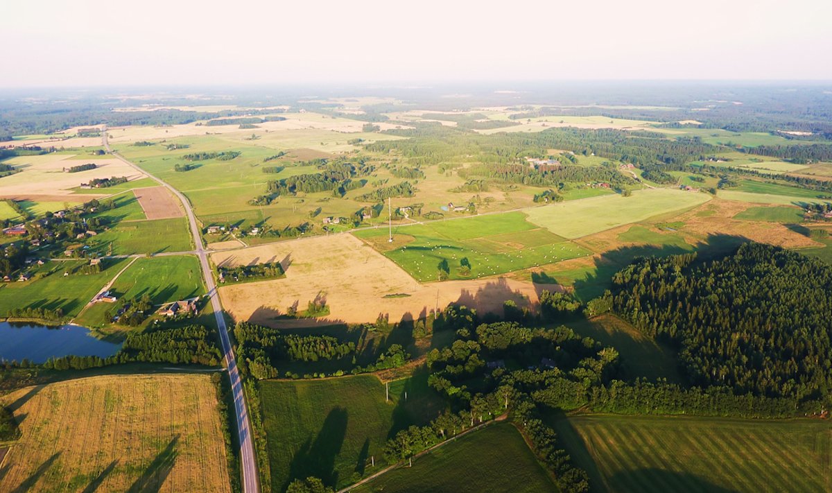 Eesti põllumaa
