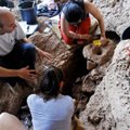 В Израиле нашли пивоварню, которой 13 тысяч лет
