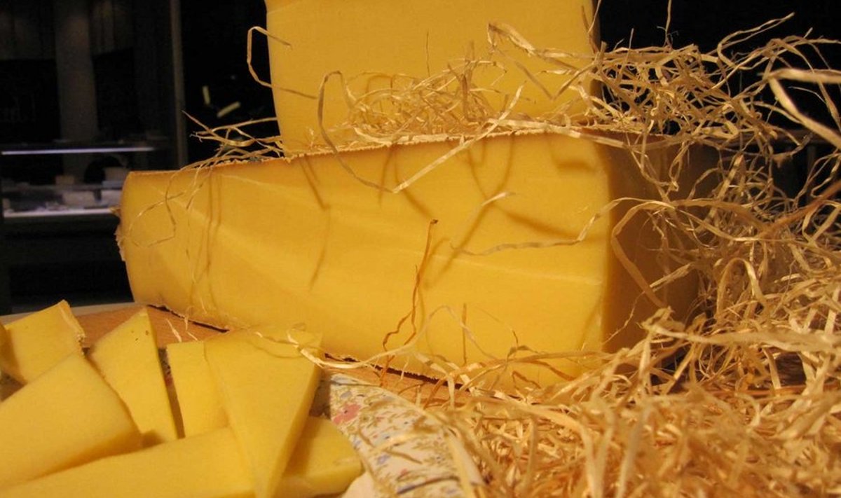 Comté juust: Armastus esimesest suutäiest. (Foto: Merje Niin)