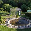 Fotovõistlus "Minu kodu suvel": Annika aia kaunis konnatiik