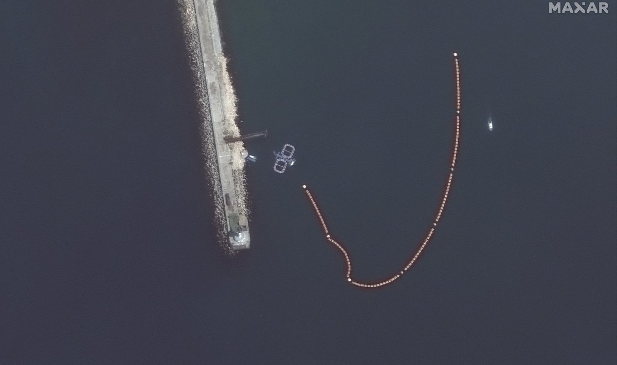 DELFIINIPATRULL: Eelmisest suvest pärit satelliitfotol on näha kaht delfiiniaedikut Sevastopoli lahes.