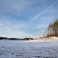 Kokku 48 miljonit eurot maksuraha. Märtsi lõpus saabub esimene maamaksu tasumise tähtaeg
