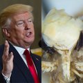 Teadlane avastas kuldsete juuste ja pisike suguelundiga ööliblika ning andis talle Donald Trumpi nime