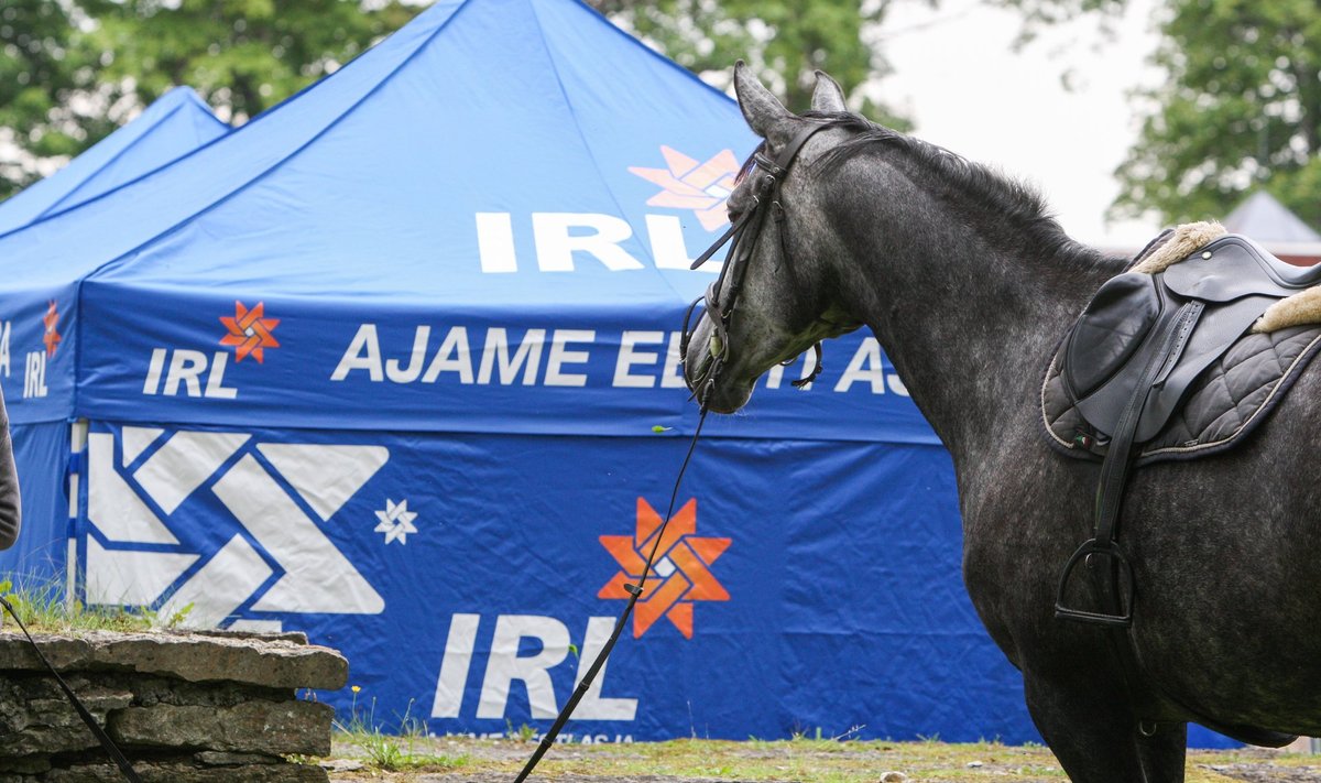 Hobune uurib IRL-i telki
