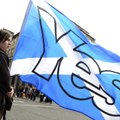 В референдуме в Шотландии могут принять участие более тысячи граждан Эстонии