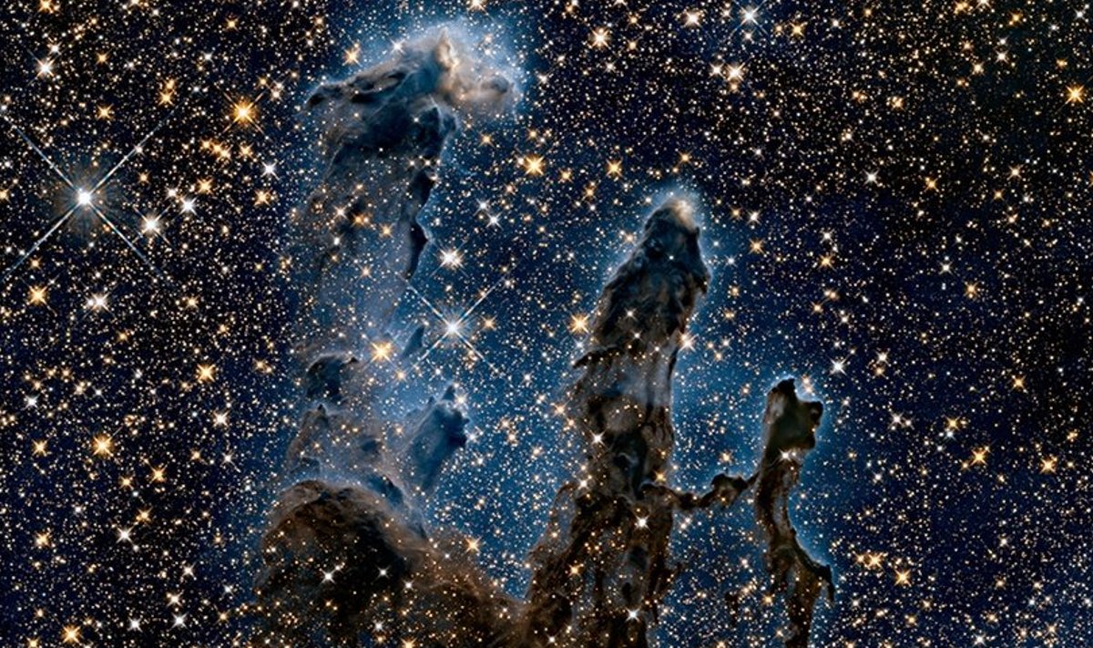Kosmoseteleskoop Hubble pilt tolmusammastest lähi-infrapunases spektripiirkonnas. Lähis-infrapuna valgus läbib enamuse udukogus olevast gaasist ja tolmust, paljastades seeläbi tähed udukogu tagaplaanil ning ka tolmusammaste sees. Siiski, osad tolmusamba piirkonnad on nii tihedad, et isegi lähis-infrapuna valgus ei suuda neid läbida. Foto: NASA/ESA/The Hubble Heritage Team (STScI/AURA).